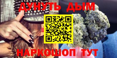 молекула духа Будённовск