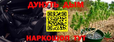 молекула духа Будённовск