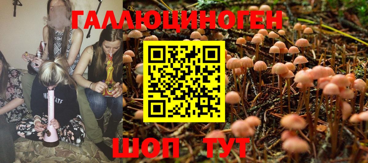Псилоцибиновые грибы мухоморы Ливны