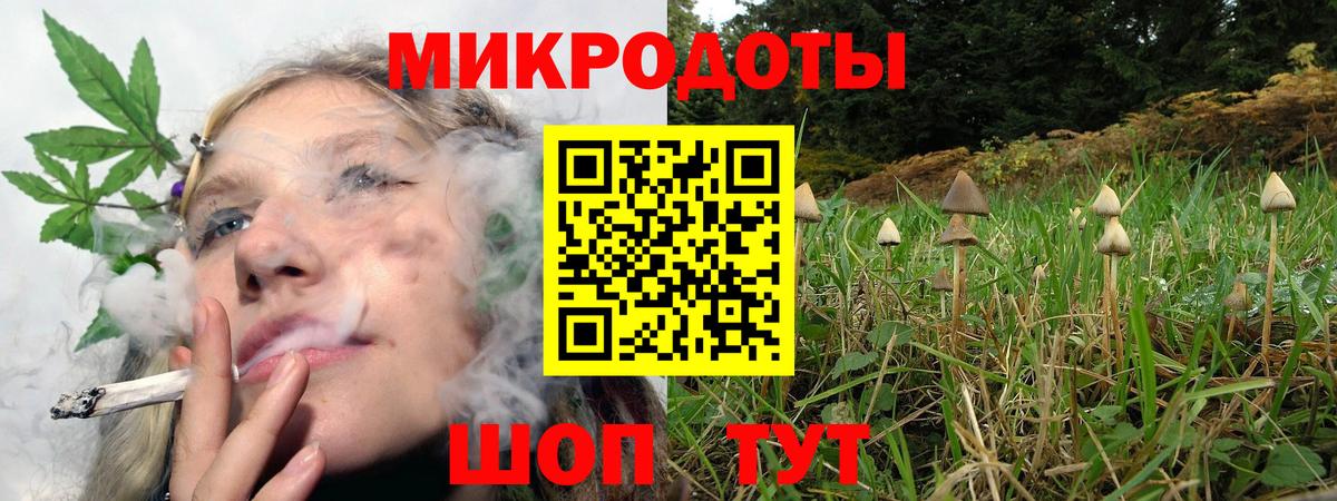 Псилоцибиновые грибы GOLDEN TEACHER  купить наркоту  Вход с VPN  Ливны  Псилоцибиновые грибы мицелий 